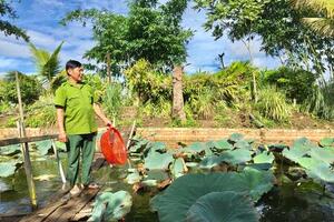 Thu tiền tỷ từ mô hình kinh tế tổng hợp