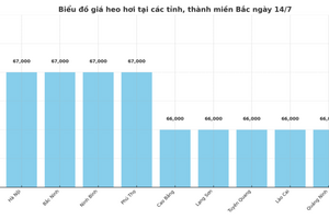 Giá heo hơi hôm nay 12/7/2025: Miền Bắc điều chỉnh giảm, miền Nam giữ đỉnh giá