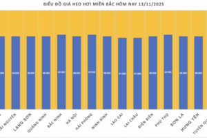Giá heo hơi hôm nay 13/11/2025: Giảm rải rác ở miền Trung và miền Nam