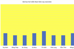 Giá heo hơi hôm nay 18/3/2026: Tăng diện rộng trên cả 3 miền