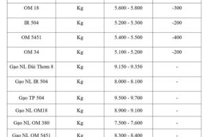 Giá lúa gạo hôm nay ngày 18/3/2026: Lúa tươi đồng loạt giảm