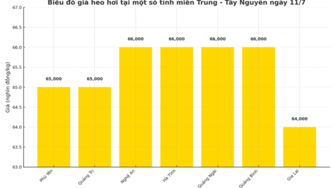 Giá heo hơi hôm nay 11/7/2025: Ổn định trên diện rộng