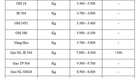 Giá lúa gạo hôm nay ngày 16/9: Gạo xuất khẩu tăng, lúa chững giá