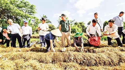 Quản lý trồng trọt thích ứng với biến đổi khí hậu 