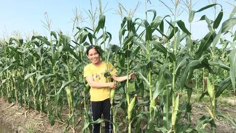 Cần lao phát triển kinh tế gia đình 