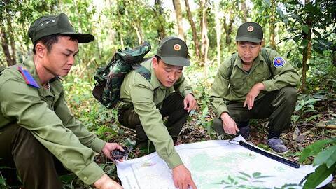 Nâng cao hiệu quả quản lý, sử dụng bền vững tài nguyên rừng