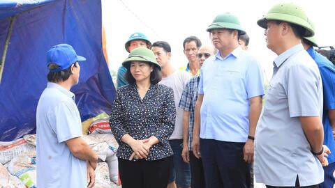 Cuộc sống mới tại Trung Châu