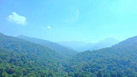 "Lá chắn thép” trong đấu tranh bảo vệ rừng