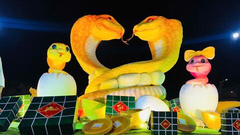 Kon Tum: Gia đình rắn vàng gây “sốt” tại ngã ba Đông Dương