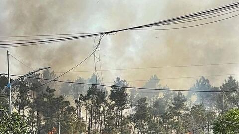 Quảng Ninh: Thêm một vụ cháy rừng tại thành phố Uông Bí