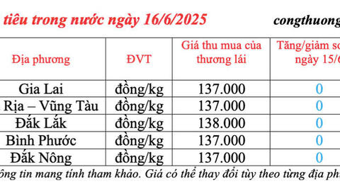 Giá tiêu hôm nay 16/6/2025: trong nước cao nhất 138.000 đồng/kg
