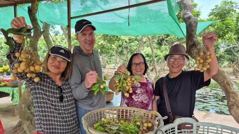 Cần Thơ: Du lịch miệt vườn vào mùa rộn ràng đón khách