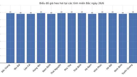 Giá heo hơi hôm nay 26/6/2025: Đồng loạt giảm nhẹ tại miền Nam