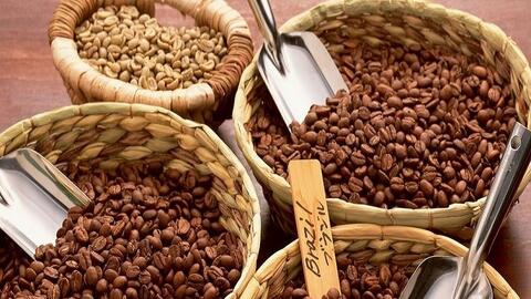 Năm 2025, xuất khẩu cà phê cầm chắc 7,5 tỷ USD