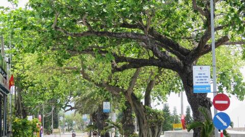 Đặc khu đảo duy nhất của TP. Hồ Chí Minh có gì đặc biệt?