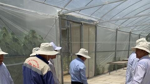 Xây dựng công trình tạm trên đất nông nghiệp: Mừng và lo