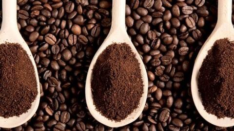 Xuất khẩu cà phê bứt phá, doanh nghiệp tận dụng “khoảng đệm” từ EUDR