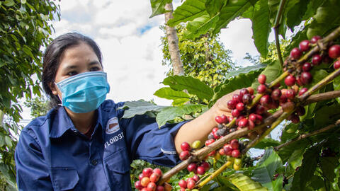 Bộ Công Thương thông tin về Nghị định 280 của Trung Quốc