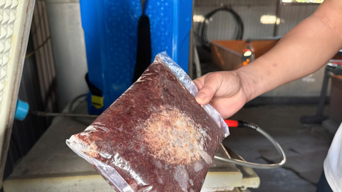 Nuôi lươn không bùn, hướng đi mới cho nông dân Hà Tĩnh