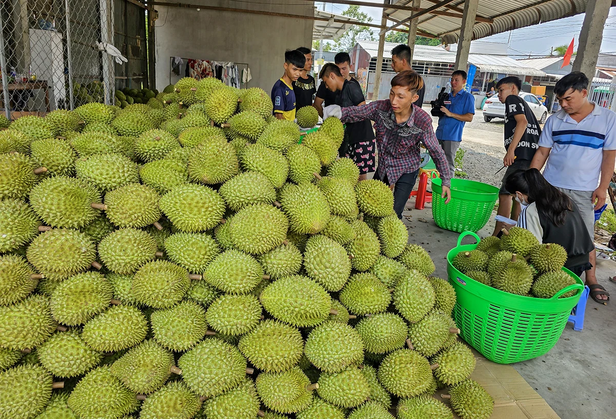 Kỷ lục xuất khẩu và khẳng định vị thế trụ đỡ của nền kinh tế 