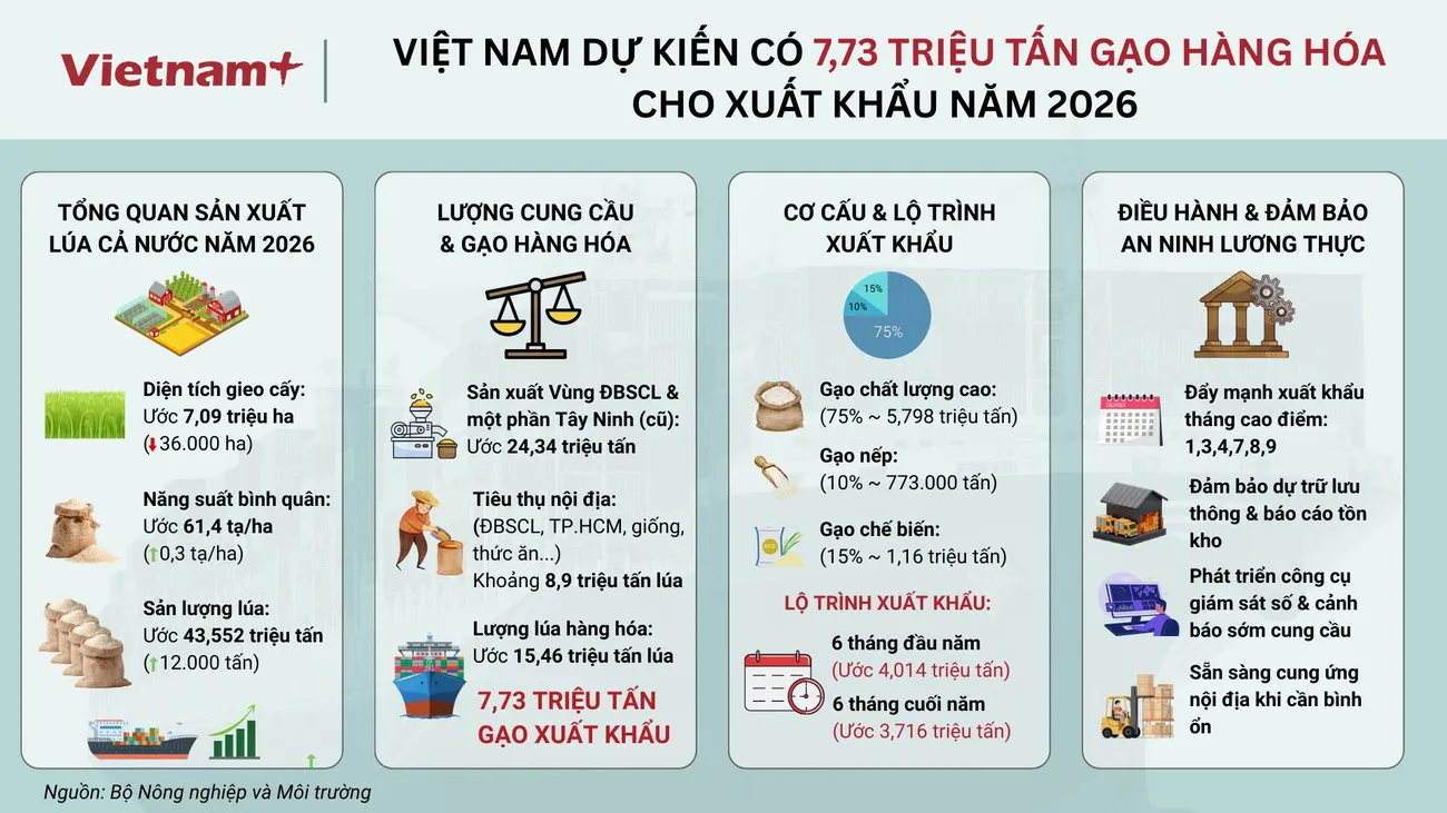 Nguồn cung gạo xuất khẩu năm 2026 dự kiến đạt 7,73 triệu tấn