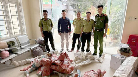 Thanh Hóa: Tạm giữ 15 phôi cây muội hồng không rõ nguồn gốc