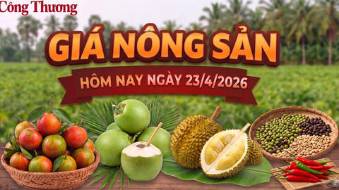 Giá nông sản hôm nay 23/4: Nhiều mặt hàng có xu hướng giảm mạnh