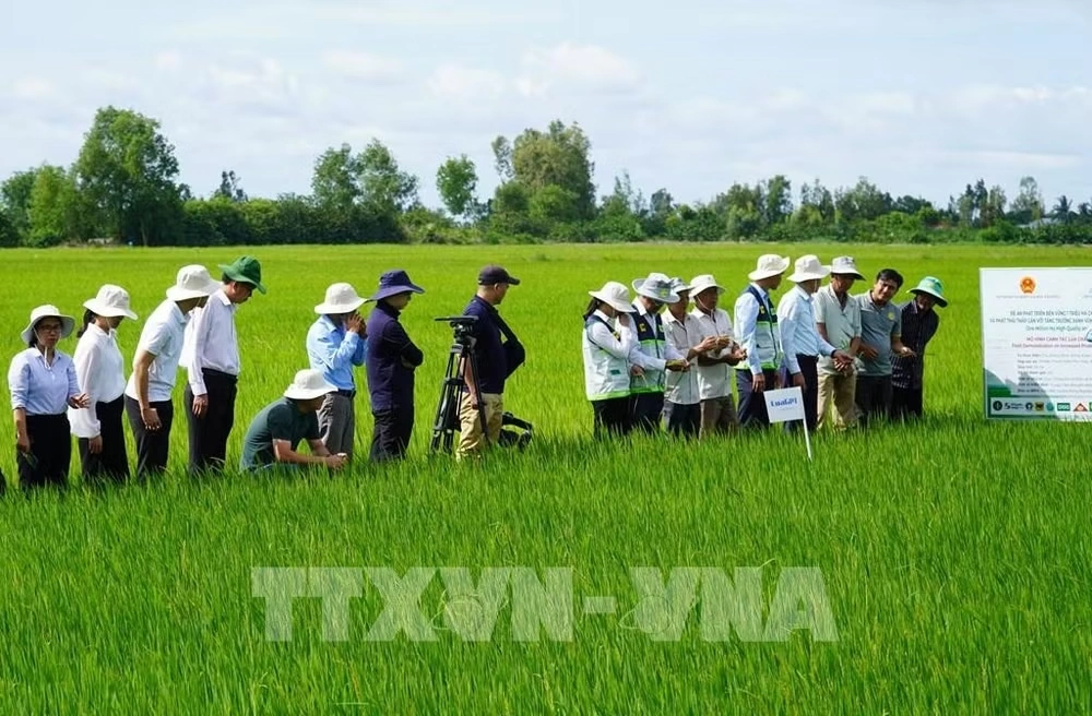 Ngành nông nghiệp định hình mục tiêu tăng trưởng xanh, bền vững và toàn diện 