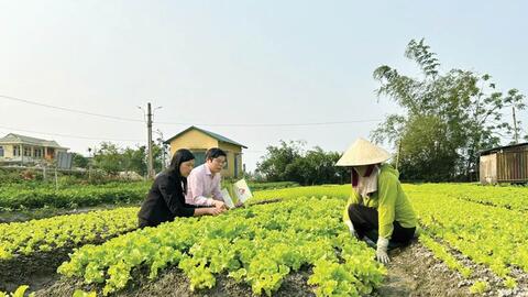 Hỗ trợ nông dân phát triển kinh tế