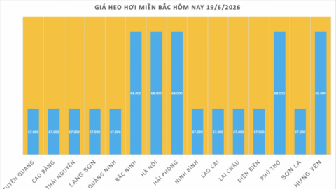 Giá heo hơi hôm nay 19/6/2026: Miền Nam tiếp nối đà giảm