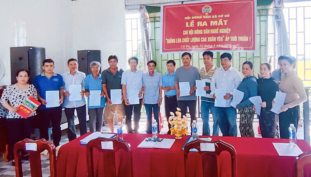 Ra mắt Chi hội Nông dân nghề nghiệp trồng lúa chất lượng cao 