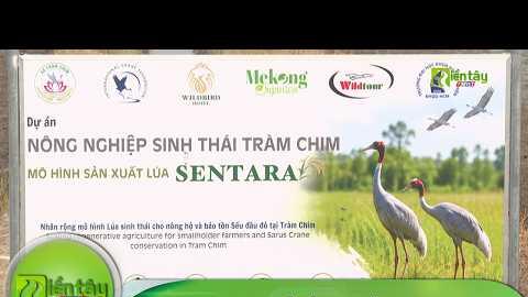 Canh tác lúa sinh thái