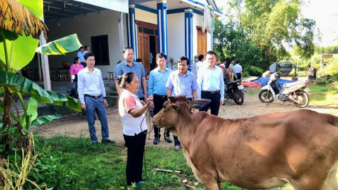 Nghệ An: Đột phá sinh kế nông nghiệp - Tầm nhìn đa chiều, giảm nghèo bền vững