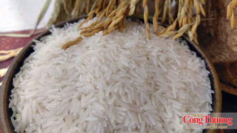 Gạo Việt Nam: Không thể chỉ cạnh tranh bằng giá