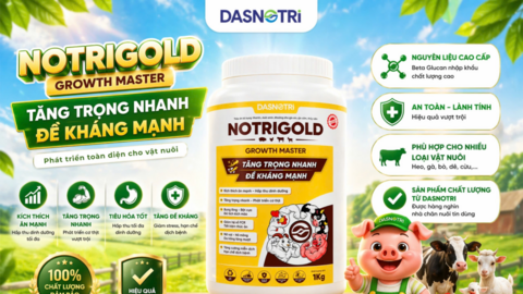 DASNOTRI – THƯƠNG HIỆU ĐƯỢC NGƯỜI CHĂN NUÔI ƯU TIÊN TIN DÙNG
