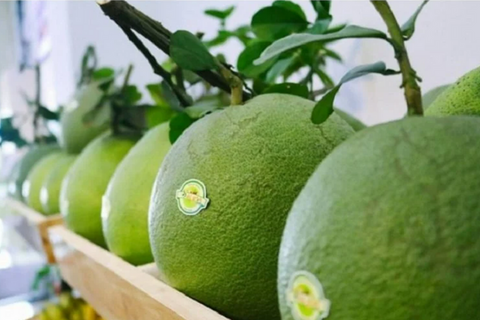 Chính thức mở cửa thị trường Trung Quốc cho quả bưởi, chanh Việt Nam