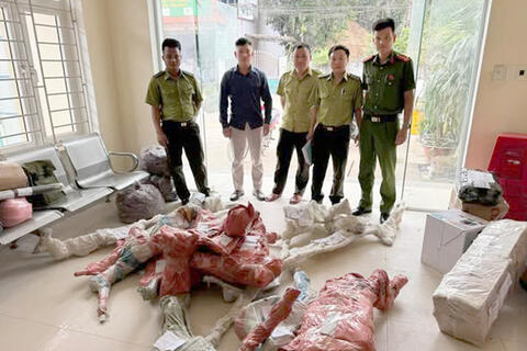 Thanh Hóa: Tạm giữ 15 phôi cây muội hồng không rõ nguồn gốc