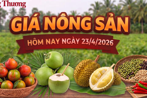 Giá nông sản hôm nay 23/4: Nhiều mặt hàng có xu hướng giảm mạnh