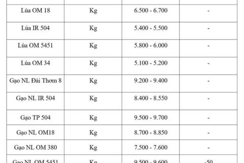 Giá lúa gạo hôm nay ngày 25/5/2026: Gạo xuất khẩu đảo chiều giảm nhẹ