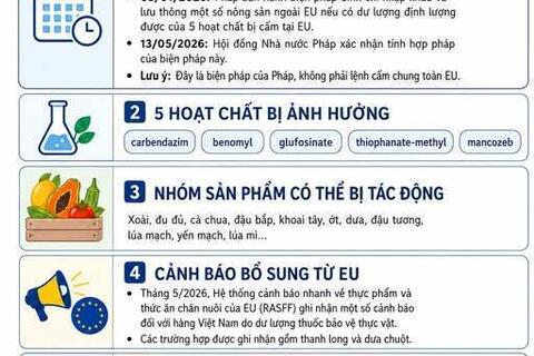 Nông sản Việt cần chú ý quy định mới về thực phẩm nhập khẩu tại Pháp