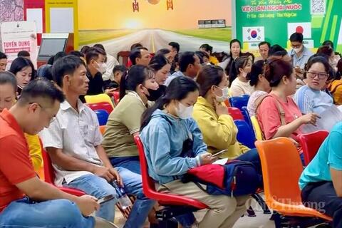 Cần Thơ: Doanh nghiệp thiếu lao động giữa lúc đơn hàng phục hồi