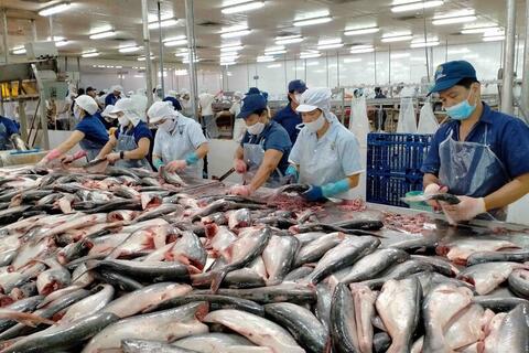Xuất khẩu nông, lâm, thủy sản tăng tốc, hướng tới mốc 74 tỷ USD