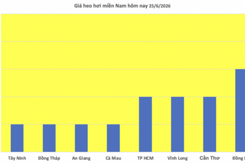 Giá heo hơi hôm nay 25/6/2026: Đi ngang, cao nhất 68.000 đồng/kg