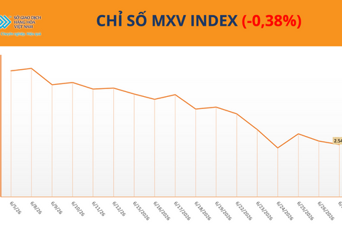 Giá cà phê Arabica tăng mạnh do mưa lớn cản trở thu hoạch tại Brazil