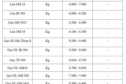 Giá lúa gạo hôm nay ngày 4/8/2026: Gạo xuất khẩu tăng