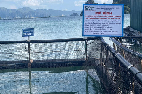Đổi mới công nghệ để phát triển nuôi biển bền vững tại Quảng Ninh