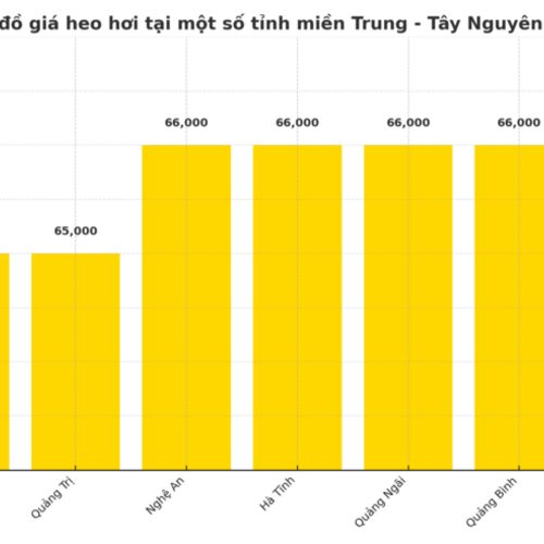 Giá heo hơi hôm nay 11/7/2025: Ổn định trên diện rộng