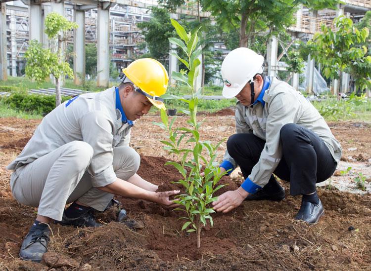 Trồng cây xanh tại Phân xưởng Trạm mạng trong Nhà máy Alumin