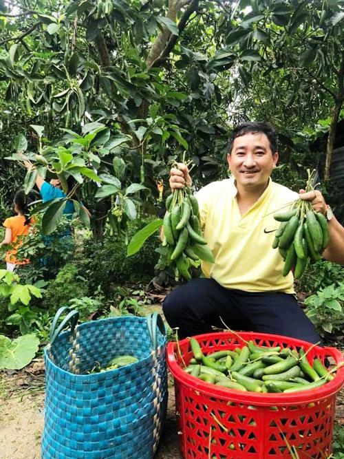Giống bơ mini không hạt, có giá bán trên 100.000 đồng/kg đang được các vựa cây giống giới thiệu rầm rộ đến người dân trong tỉnh
