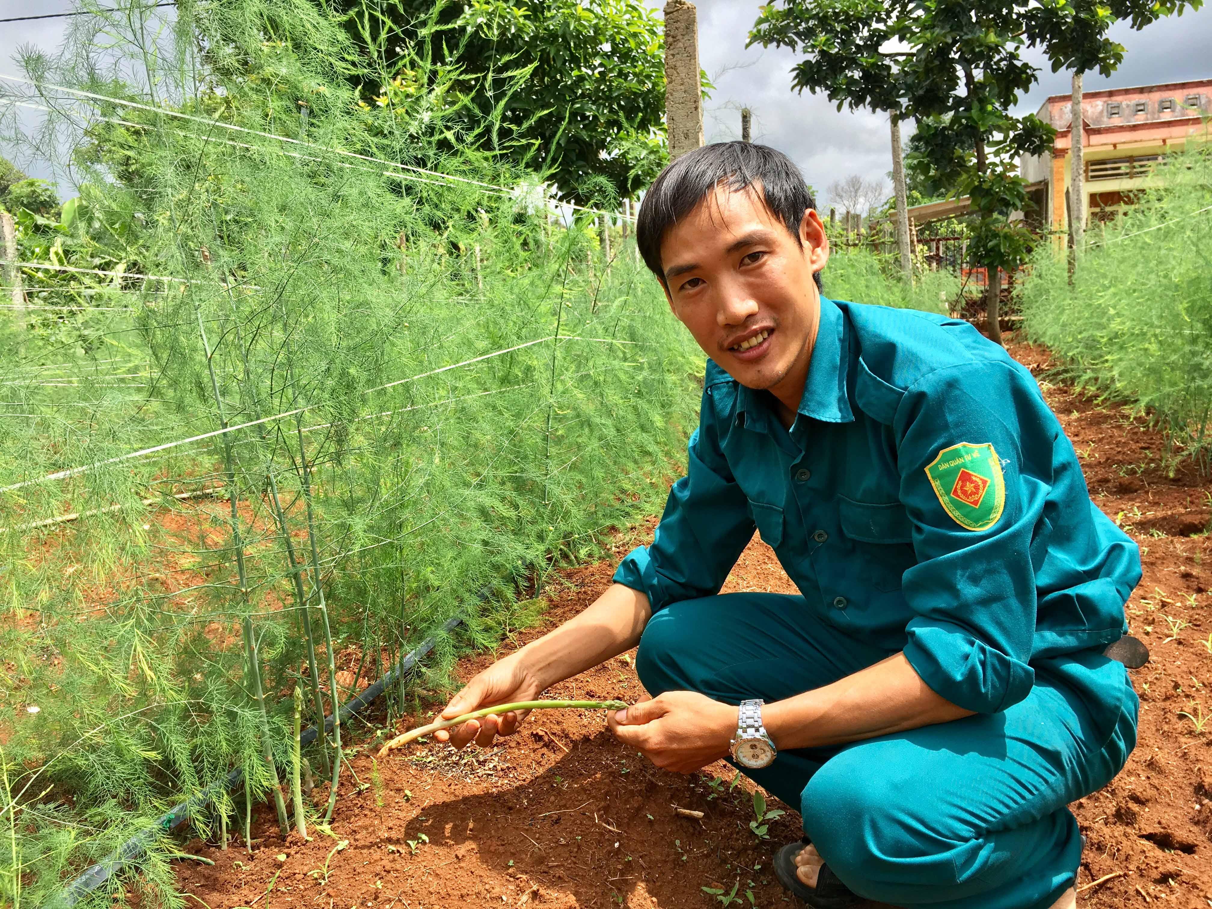 Sản phẩm măng tây của anh Trần Hạnh (xã Bàu Cạn) đạt chứng nhận OCOP 3 sao cấp tỉnh năm 2020. Ảnh: Hà Duy